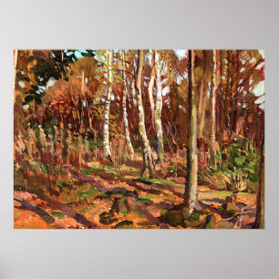 Tom Thomson - Blick auf den Algonquin Park Poster