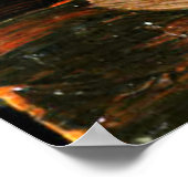 Tom Thomson - Lake and Red Tree Poster (Ecke)