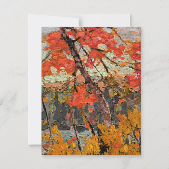 Tom Thomson - Twisted Maple (Vorderseite)