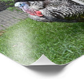 Tom Türkei Fotodruck (Ecke)