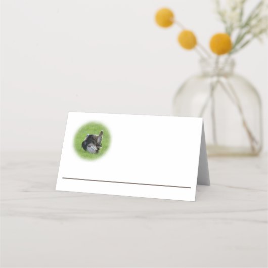 Tom Türkei Platzkarte (Vorderseite)