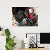 Tom Turkey 1 Poster (Heimbüro)