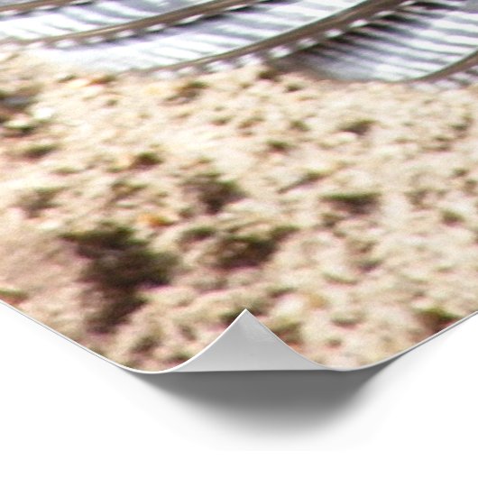 Tom Turkey 1 Poster (Ecke)