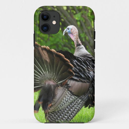 Tom Turkey Feather Display Case-Mate iPhone Hülle (Rückseite)