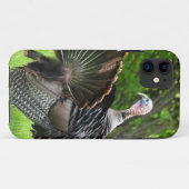 Tom Turkey Feather Display Case-Mate iPhone Hülle (Rückseite (Horizontal))