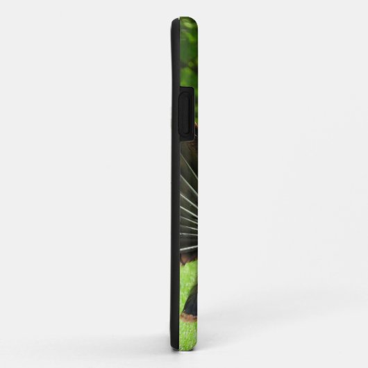 Tom Turkey Feather Display Case-Mate iPhone Hülle (Hinten/Rechts)