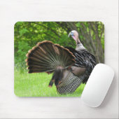 Tom Turkey Feather Display Mousepad (Mit Mouse)