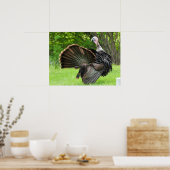 Tom Turkey Feather Display Poster (Küche)