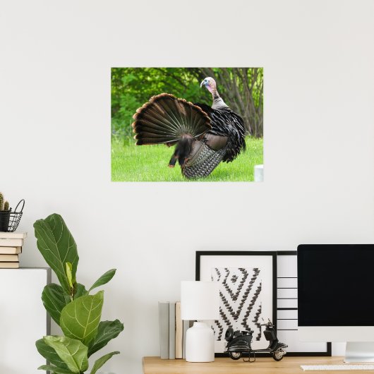 Tom Turkey Feather Display Poster (Heimbüro)