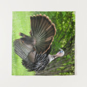 Tom Turkey Feather Display Wandteppich (Vorderseite (Horizontal))