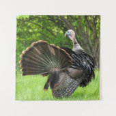 Tom Turkey Feather Display Wandteppich (Vorderseite)