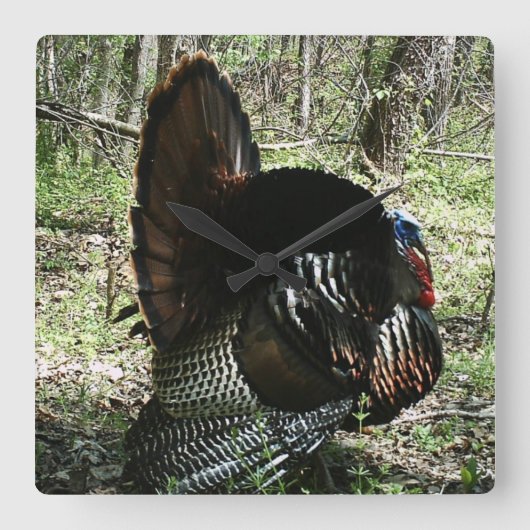 TOM TURKEY FULL STRUT SQUARE  WALL CLOCK QUADRATISCHE WANDUHR (Vorderseite)