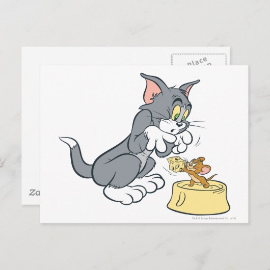 Tom und Jerry Fütterte die Katze Postkarte (Vorne/Hinten)