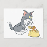 Tom und Jerry Fütterte die Katze