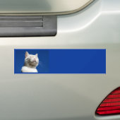 Tom-Weißkatze Autoaufkleber (Auf Auto)