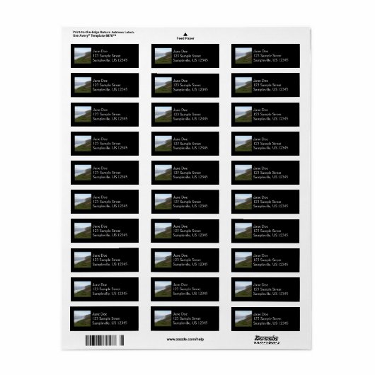 Tomales Point an Point Reyes National Seashore (Vorne)