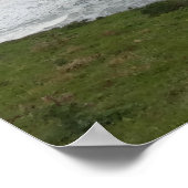 Tomales Point an Point Reyes National Seashore Poster (Ecke)