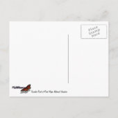 Tomales Point an Point Reyes National Seashore Postkarte (Rückseite)