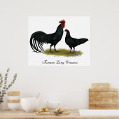Tomaru Long Crower Chickens Poster (Küche)