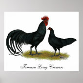 Tomaru Long Crower Chickens Poster (Vorne)