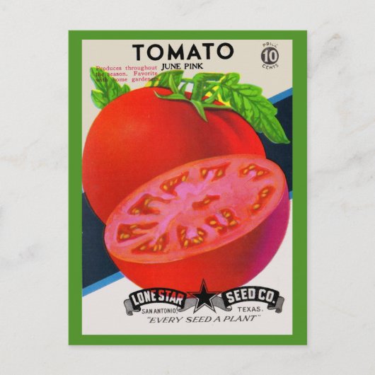 Tomate aus Saatgutpackungen der 50er Jahre Postkarte (Vorderseite)