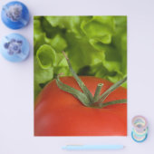 Tomate Flyer (Einzeln)