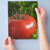 Tomate Flyer (Hand)