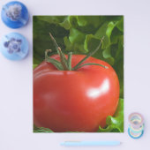 Tomate Flyer (Einzeln)