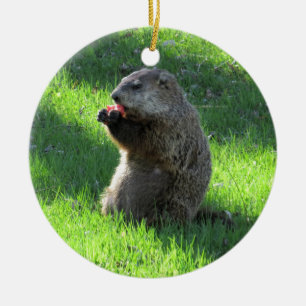 Tomate Groundhog Keramikornament