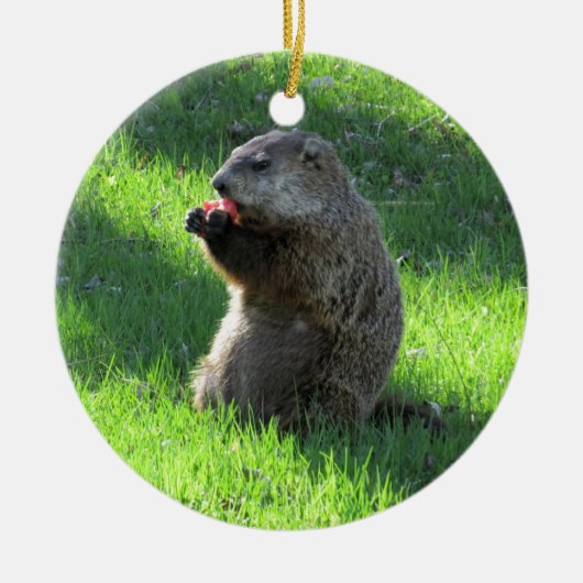 Tomate Groundhog Keramikornament (Vorne)
