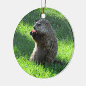 Tomate Groundhog Keramikornament (Links)