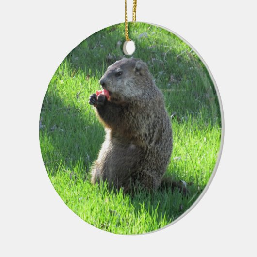 Tomate Groundhog Keramikornament (Links)