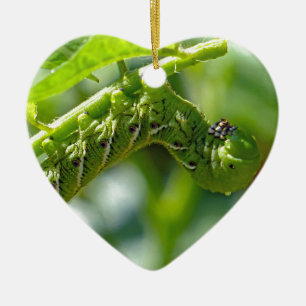 Tomate Hornworm Keramik Ornament