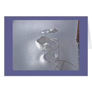 Tomate-Käfig im Winter