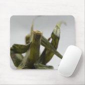 Tomate Mousepad (Mit Mouse)