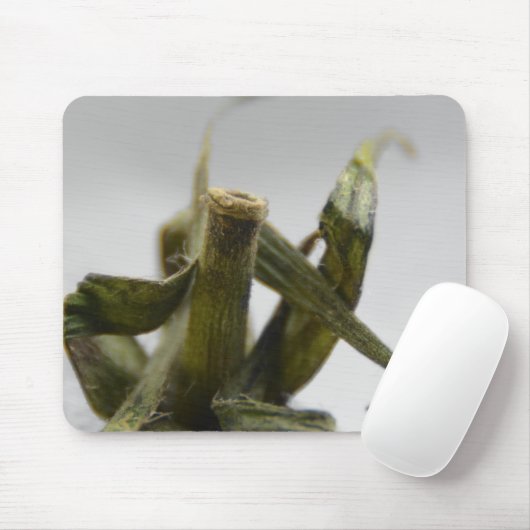 Tomate Mousepad (Mit Mouse)