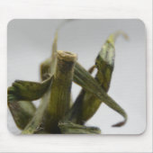 Tomate Mousepad (Vorne)