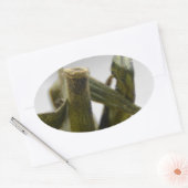 Tomate Ovaler Aufkleber (Umschlag)