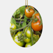 Tomate-Pflanze Keramikornament (Rechts)