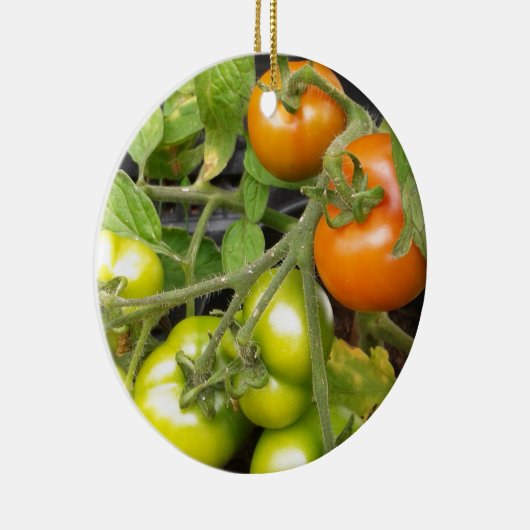 Tomate-Pflanze Keramikornament (Rechts)