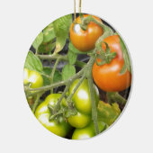 Tomate-Pflanze Keramikornament (Links)