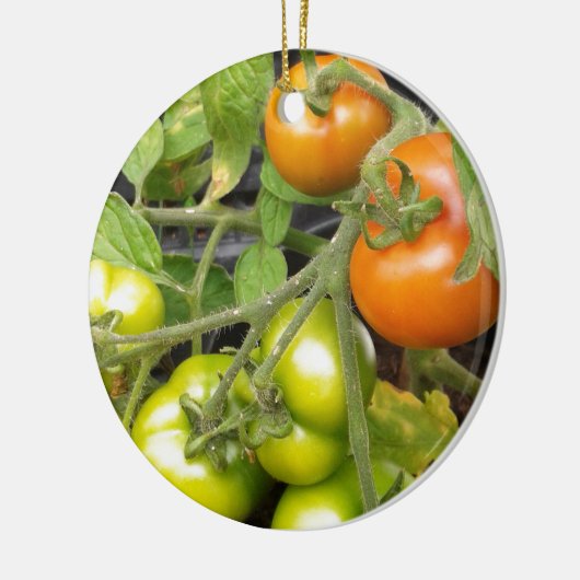 Tomate-Pflanze Keramikornament (Links)
