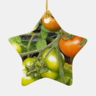 Tomate-Pflanze Keramikornament