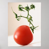Tomate Poster (Vorne)