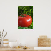 Tomate Poster (Küche)