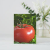 Tomate Postkarte (Stehend Vorderseite)