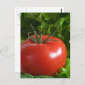 Tomate Postkarte (Vorne/Hinten)