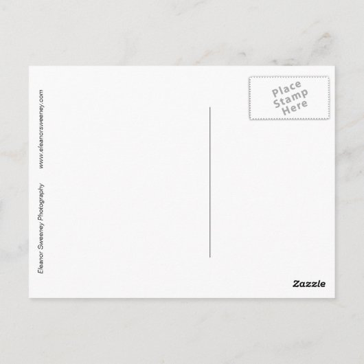 "Tomate und Spitze" digital verändert Stillleben Postkarte (Rückseite)