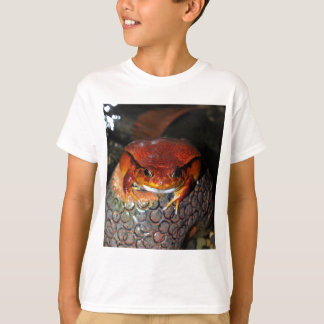 Tomatefrosch T-Shirt