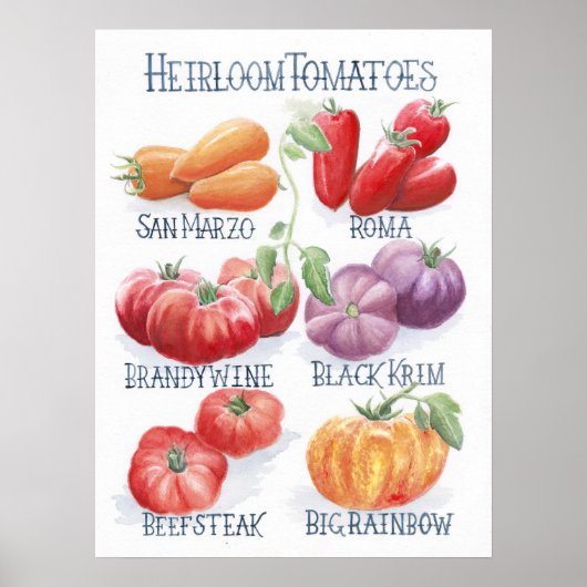 Tomaten Art Print Poster (Vorne)